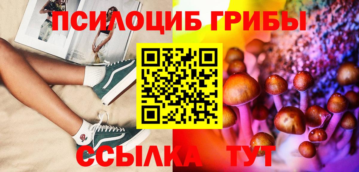 Псилоцибиновые грибы Cubensis  Псилоцибиновые грибы прущие грибы  Уварово  Вход с VPN 